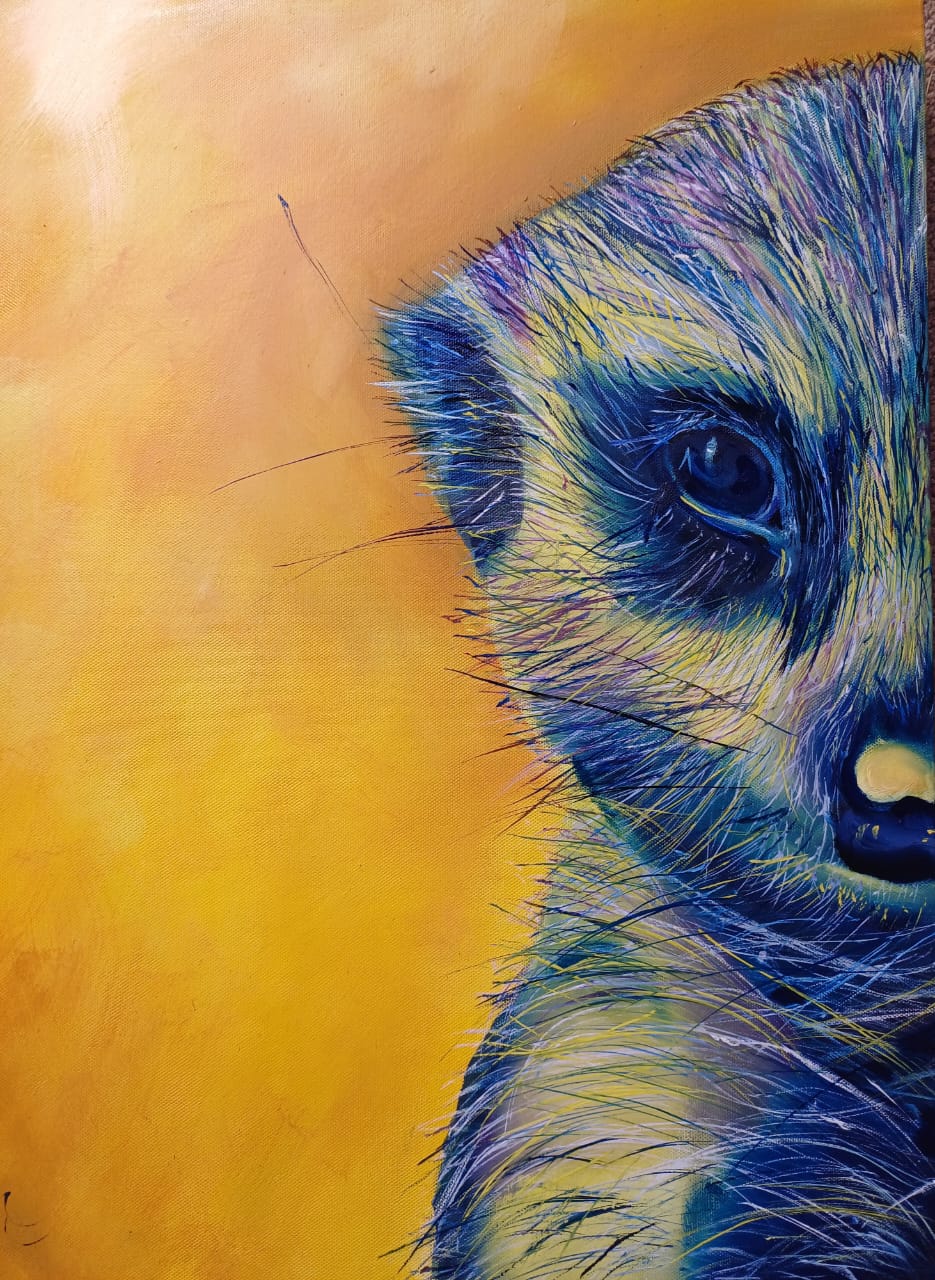 Original close-up painting of a meerkat's face by Kim Bezuidenhout